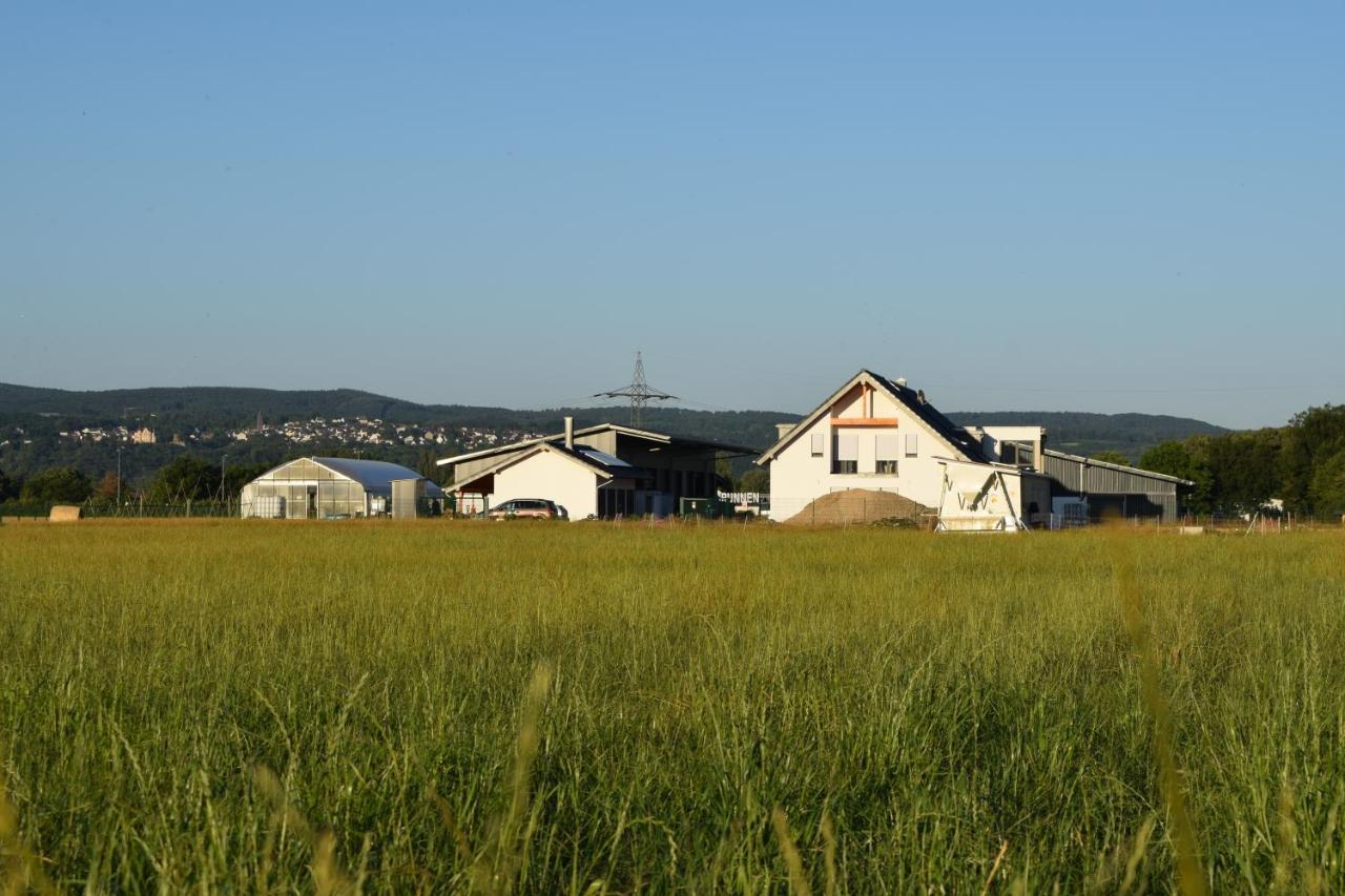 Einladende Ferienwohnung Auf Bauernhof In Sinzig Exterior photo
